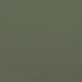 Grey-green leather fabric sample with a matte finish and uniform tight weave, displaying a muted olive tone with subtle grey undertones.